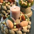 Cedar cones, decorative cedar, natural, 9-10.5 cm, 3 pieces | Floristik24.ie