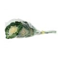 Floristik24 Artificial cabbage white, green 25cm 6pcs