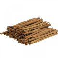 Floristik24 Decorative cinnamon sticks, cinnamon for table decoration, 25cm, 500g