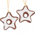 Floristik24 Christmas tree decorations cinnamon stars deco star plastic 5cm 24pcs