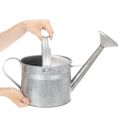 Vintage zinc watering can, 27cm - planter for garden and patio, metal flower pot | Floristik24.ie
