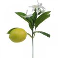 Floristik24 Deco branch lemon and flowers artificial branch summer decoration 26cm 4pcs