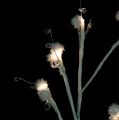 Floristik24 Branch white with snowball LED 75cm set of 2