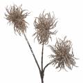 Floristik24 Artificial clematis branch champagne with glitter 46cm