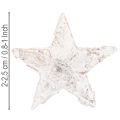 Birch stars mini 2cm - 2.5cm whitewashed 150 pcs | Floristik24.ie