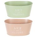 Oval zinc flower bowl, 27 x 18 cm, H 12.5 cm, various colors | Floristik24.ie