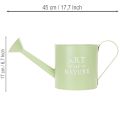 Flower pot, decorative watering can, mint green zinc planter, Ø16.5cm | Floristik24.ie