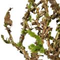 Decorative branch with moss artificial autumn decoration grey green L78cm | Floristik24.ie