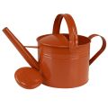 Metal decorative watering can in country style, orange-brown, 26cm, 5L - Versatile use as a planter &amp; decorative can | Floristik24.ie