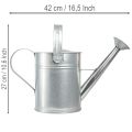 Decorative watering can, retro design, metal, silver, 42x15.5x27cm, vintage balcony decoration, flower pot | Floristik24.ie