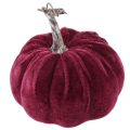 Decorative Pumpkins Flocked Burgundy Pink Ø13cm H11,5cm 3 pcs | Floristik24.ie