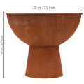Decorative bowl with foot trophy bowl rust metal Ø20.5cm 2pcs | Floristik24.ie