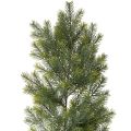 Floristik24 Artificial fir branch garland for creative floristry, 175cm