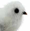 Floristik24 Snow bird 14cm with clip