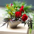 Floristik24 Decorative bowl with base, round plant bowl, grey, Ø19cm, H8cm