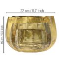 Decorative bowl brass metal bowl Ø22/18/14cm set of 3 | Floristik24.ie