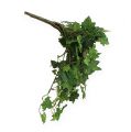 Floristik24 Artificial ivy tendril 38cm