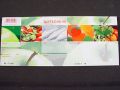 Floristik24 Vouchers motif apple with envelopes (50 pieces)