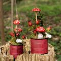 Rosehip Decoration Red Rosehip Branches Artificial 48cm 3pcs | Floristik24.ie