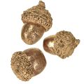 Golden autumn fruits, festive autumn decorations, natural decorative acorns, Advent decoration Ø1.5 – 2.5cm L1.5 – 3cm 300g | Floristik24.ie