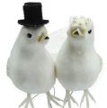 Floristik24 Pair of doves with hat and veil 13cm 4pcs