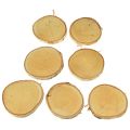 Wooden discs with bark birch disc natural Ø9-10cm 7 pcs | Floristik24.ie