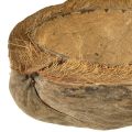 Coconut planter, natural, 20cm, 5 pieces | Floristik24.ie