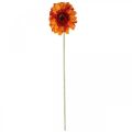 Floristik24 Artificial gerbera flower, artificial flower orange Ø11cm 50cm