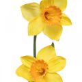 Artificial Daffodils Silk Flowers Yellow 2 flowers 61cm