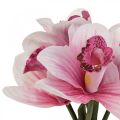 Floristik24 Artificial orchids artificial flowers in vase white/pink 28cm