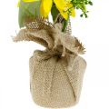Floristik24 Artificial sunflower, silk flower, summer decoration, sunflower in jute sack