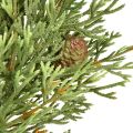 Small artificial fir wreath, green with cones, Ø24cm, Christmas | Floristik24.ie