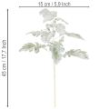 Artificial Senecio branch (ragwort), intricately crafted, 45cm, 3 pieces | Floristik24.ie