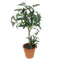 Artificial olive tree in a pot Artificial plant Olive H63.5cm