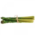 Floristik24 Artificial asparagus vegetable decorative asparagus bunch L23cm 5pcs