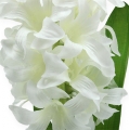 Floristik24 Silk flowers hyacinth white 33cm