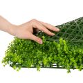 Artificial boxwood plant mat 55x55 cm for decorative wall design | Floristik24.ie