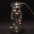 Battery-operated string lights for indoor use, warm white, 10 LEDs, 1m length, 6 pieces | Floristik24.ie