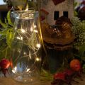 Battery-operated string lights for indoor use, warm white, 10 LEDs, 1m length, 6 pieces | Floristik24.ie