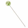 Pearl-headed pins, apple green, Ø10mm, 60mm | Floristik24.ie
