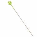 Pearl head pins Ø6mm 65mm apple green | Floristik24.ie