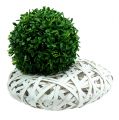 Floristik24 Decorative basket oval white Ø25cm H7cm