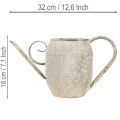 Vintage metal plant pot/watering can, antique garden decoration, 32x10.5x18cm | Floristik24.ie