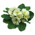 Floristik24 Artificial flowers primrose cream