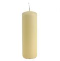 Floristik24 Pillar candles cream Candles H145mm Ø50mm cream 12pcs
